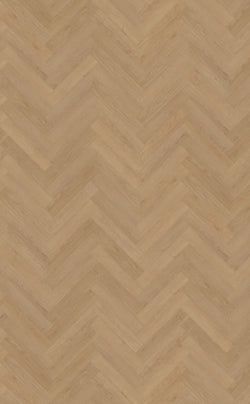 Belakos Monastro visgraat XL 93