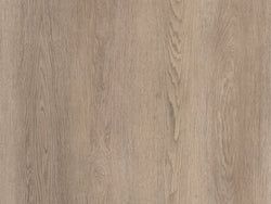 Dominicano Oak