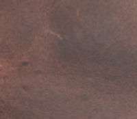 Color – Chestnut