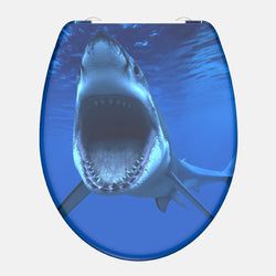 O-Form – SHARK
