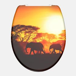 O-Form – AFRICA