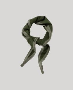 Style – Fern with Moss