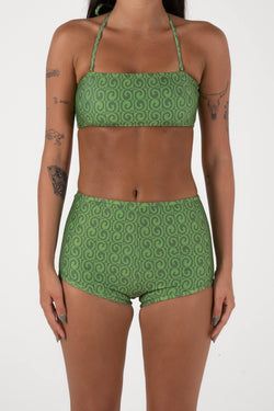 Colour – Fern Green