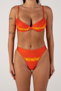 Colour – Tangerine
