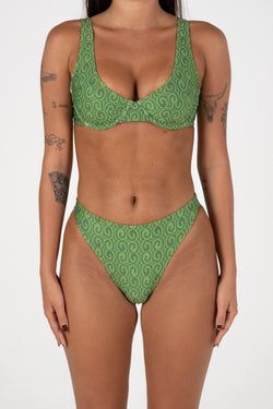 Colour – Fern Green