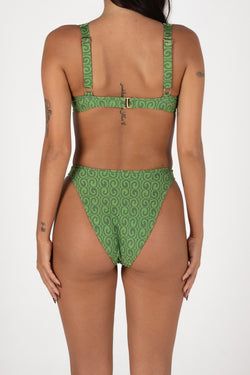 Colour – Fern Green