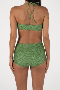 Colour – Fern Green