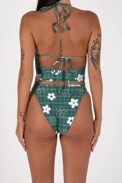 Colour – Gingham Green