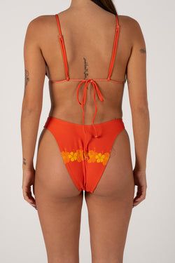 Colour – Tangerine