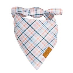 Boon Ties x Remy+Roo – Larry Bandana