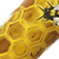 Design – "Buzz" Honeybee