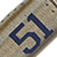 Color – P-51 Mustang