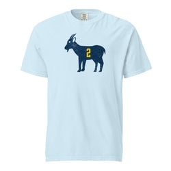 style – Comfort Colors