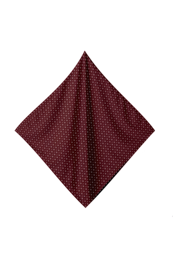 Colour – Ruby Wine