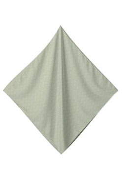 Colour – Frosty Green