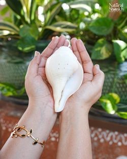 Color – Natural Peach