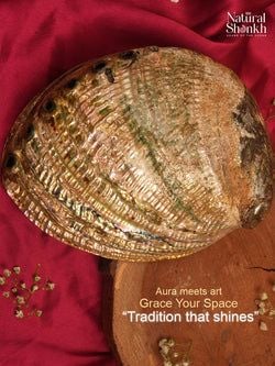 Type – Abalone