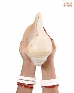Size – 12-13"