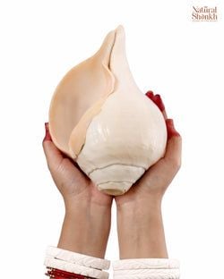 Size – 15-16"