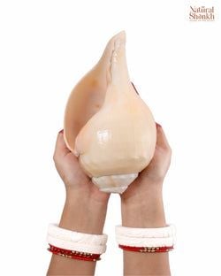 Size – 13-14"