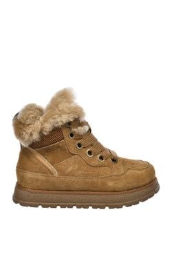 model – Camel