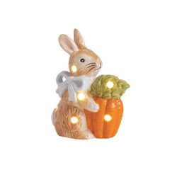 Accessories – Bunny Carrot