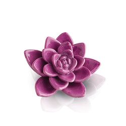 Minis – Get Growing