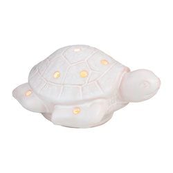 Sea Turtle