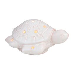 Accessories – Sea Turtle