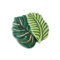 Minis – Best Ferns Forever