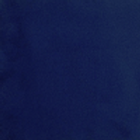 Color – Navy