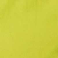 Color – Avocado