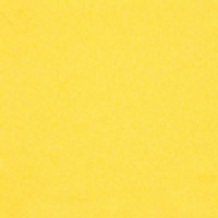 Color – Butter
