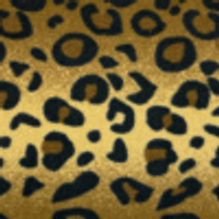 Color – Leopard