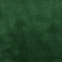 Color – Hunter Green