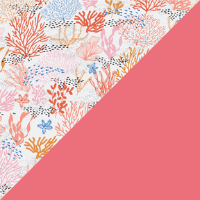Color – Coral Reef