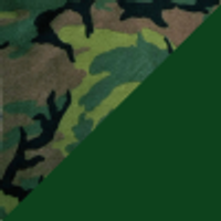 Color – Camo/Hunter