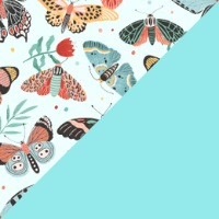 Color – Turquoise Butterflies