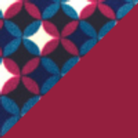 Color – Garnet/Winter Mod