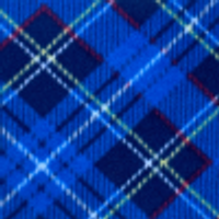 Blue Plaid