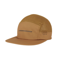 Dark Ochre