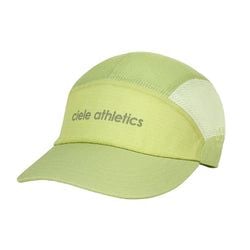 Colorway – Sour Green Tarragon