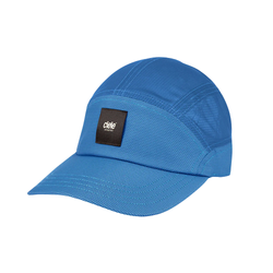 Palace Blue