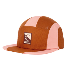 Colorway – Gingerbread