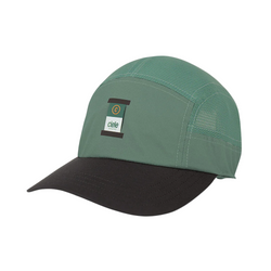 Colorway – Silver Pine