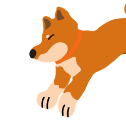 Shiba Inu Color – Red