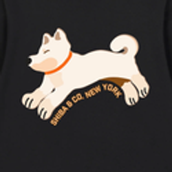 Shiba Inu Color – Cream