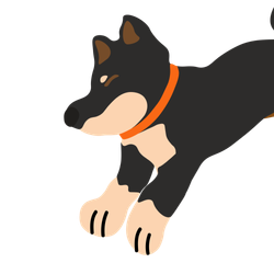 Shiba Inu Color – Black & Tan