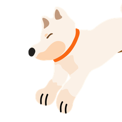 Shiba Inu Color – Cream