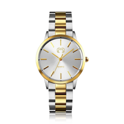 Model – GoldSilver